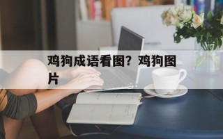 鸡狗成语看图？鸡狗图片