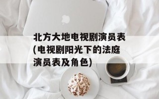 北方大地电视剧演员表(电视剧阳光下的法庭演员表及角色)