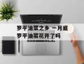 罗平油菜之乡 一月底罗平油菜花开了吗