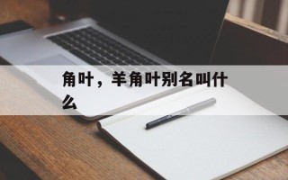 角叶，羊角叶别名叫什么
