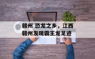 赣州 恐龙之乡，江西赣州发现霸王龙足迹
