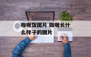 咖喱饭图片 咖喱长什么样子的图片