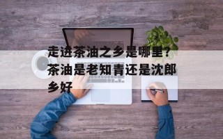 走进茶油之乡是哪里？茶油是老知青还是沈郎乡好