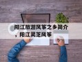 阳江旅游风筝之乡简介，阳江灵芝风筝