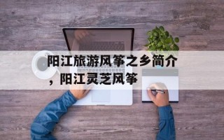 阳江旅游风筝之乡简介，阳江灵芝风筝
