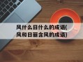 风什么日什么的成语(风和日丽含风的成语)