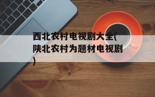 西北农村电视剧大全(陕北农村为题材电视剧)