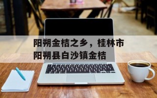 阳朔金桔之乡，桂林市阳朔县白沙镇金桔