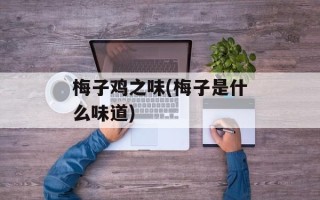 梅子鸡之味(梅子是什么味道)