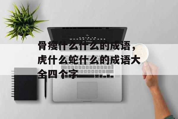 骨瘦什么什么的成语，虎什么蛇什么的成语大全四个字-第1张图片-
