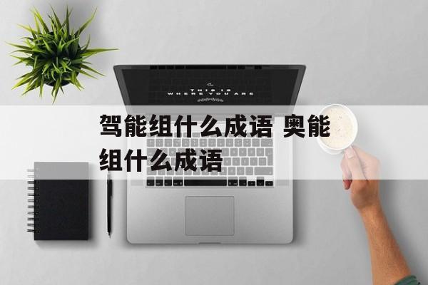 驾能组什么成语 奥能组什么成语-第1张图片-