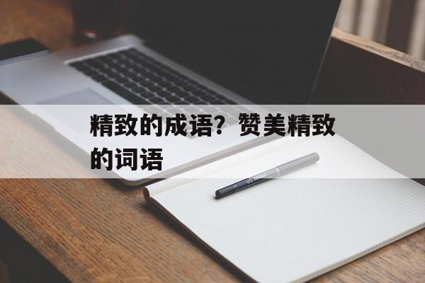 精致的成语？赞美精致的词语-第1张图片-