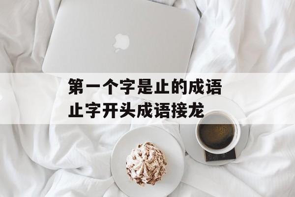 第一个字是止的成语 止字开头成语接龙-第1张图片-