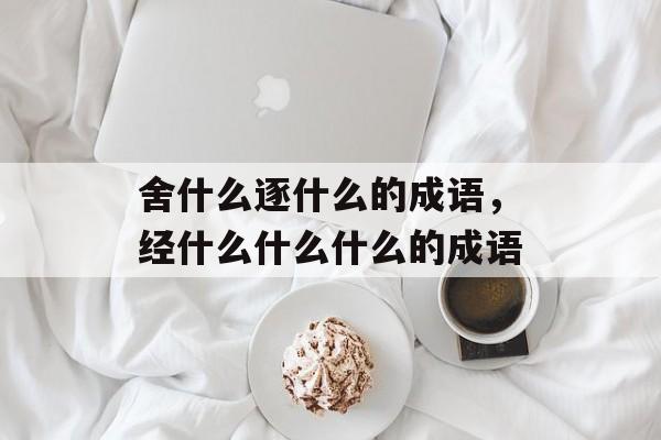 舍什么逐什么的成语，经什么什么什么的成语-第1张图片-