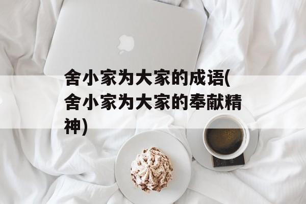 舍小家为大家的成语(舍小家为大家的奉献精神)-第1张图片-