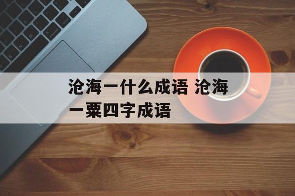 沧海一什么成语 沧海一粟四字成语-第1张图片-