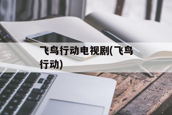飞鸟行动电视剧(飞鸟行动)-第1张图片-