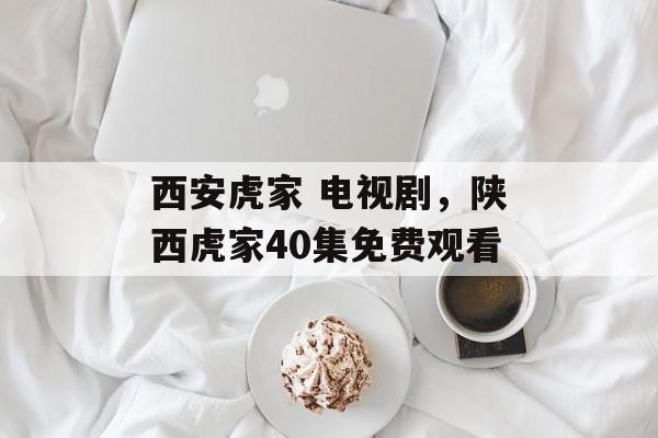 西安虎家 电视剧，陕西虎家40集免费观看-第1张图片-