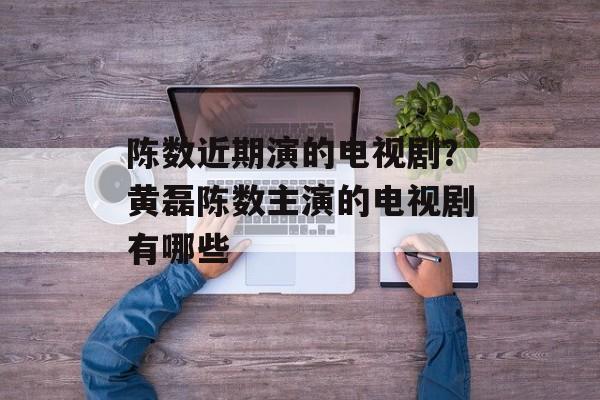 陈数近期演的电视剧？黄磊陈数主演的电视剧有哪些-第1张图片-