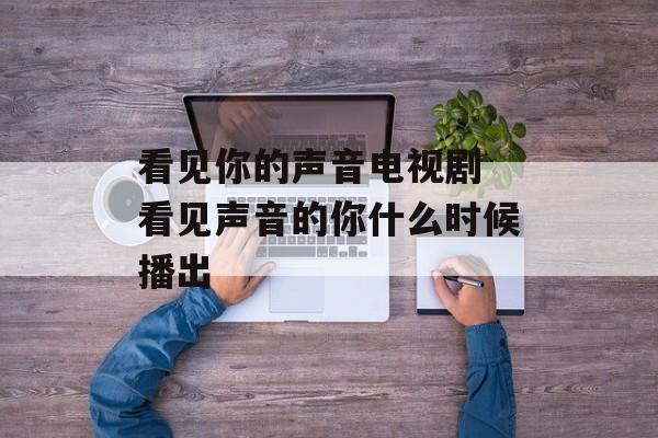 看见你的声音电视剧 看见声音的你什么时候播出-第1张图片-