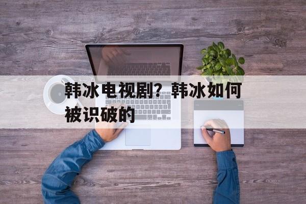 韩冰电视剧？韩冰如何被识破的-第1张图片-