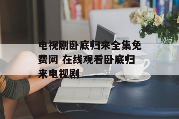 电视剧卧底归来全集免费网 在线观看卧底归来电视剧-第1张图片-