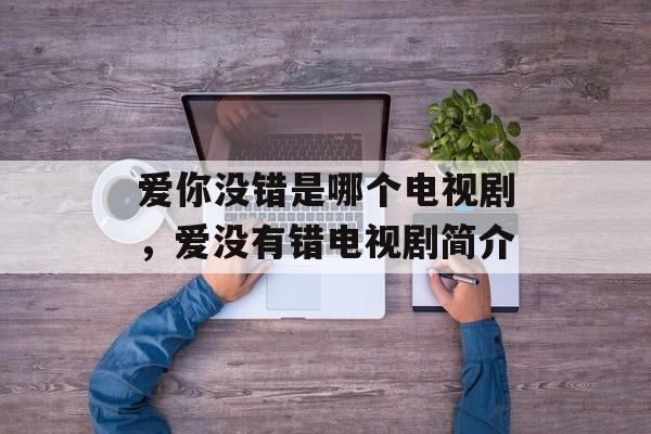 爱你没错是哪个电视剧，爱没有错电视剧简介-第1张图片-