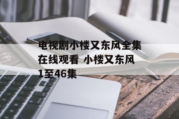 电视剧小楼又东风全集在线观看 小楼又东风1至46集-第1张图片-