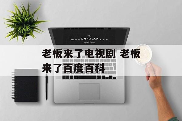 老板来了电视剧 老板来了百度百科-第1张图片-