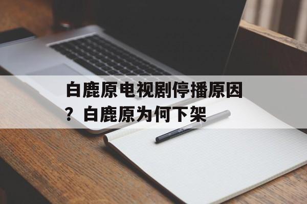 白鹿原电视剧停播原因？白鹿原为何下架-第1张图片-
