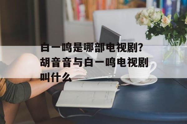 白一鸣是哪部电视剧？胡音音与白一鸣电视剧叫什么-第1张图片-