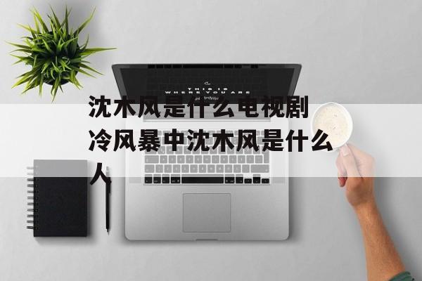 沈木风是什么电视剧 冷风暴中沈木风是什么人-第1张图片-