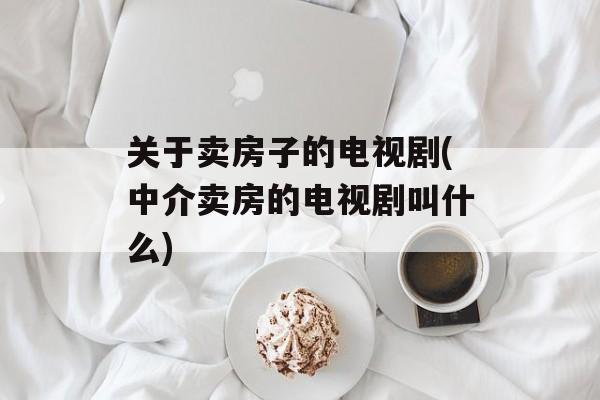 关于卖房子的电视剧(中介卖房的电视剧叫什么)-第1张图片-