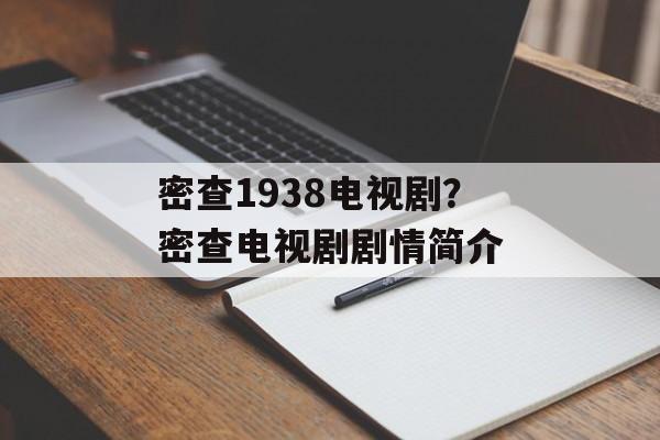 密查1938电视剧？密查电视剧剧情简介-第1张图片-