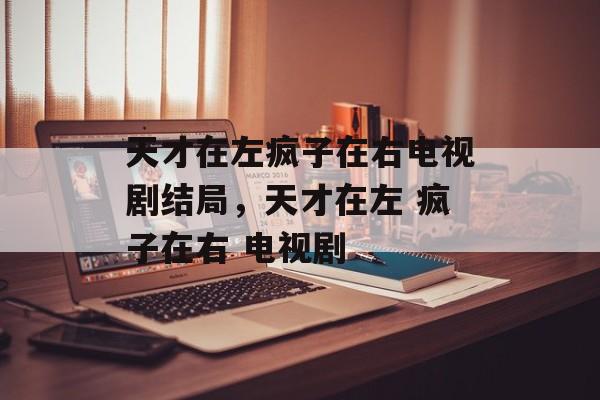 天才在左疯子在右电视剧结局，天才在左 疯子在右 电视剧-第1张图片-