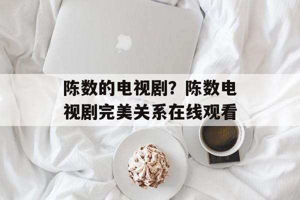 陈数的电视剧？陈数电视剧完美关系在线观看-第1张图片-