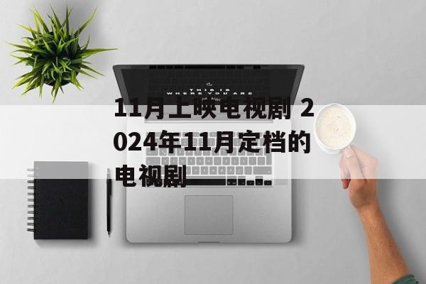 11月上映电视剧 2024年11月定档的电视剧-第1张图片-