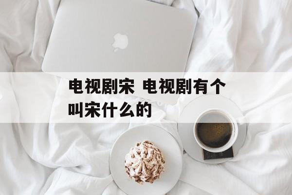 电视剧宋 电视剧有个叫宋什么的-第1张图片-