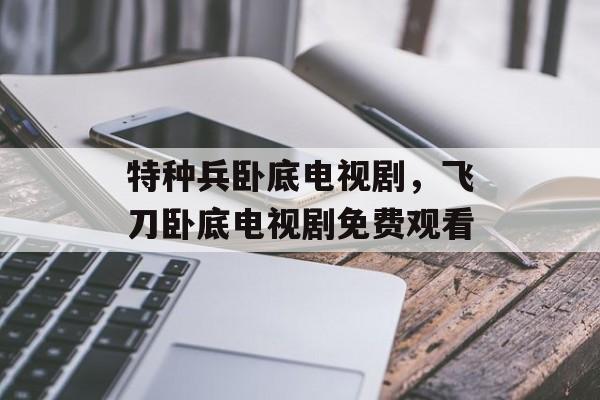 特种兵卧底电视剧，飞刀卧底电视剧免费观看-第1张图片-