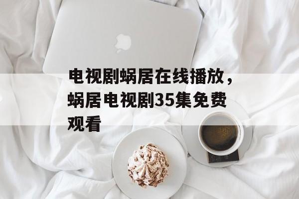 电视剧蜗居在线播放，蜗居电视剧35集免费观看-第1张图片-