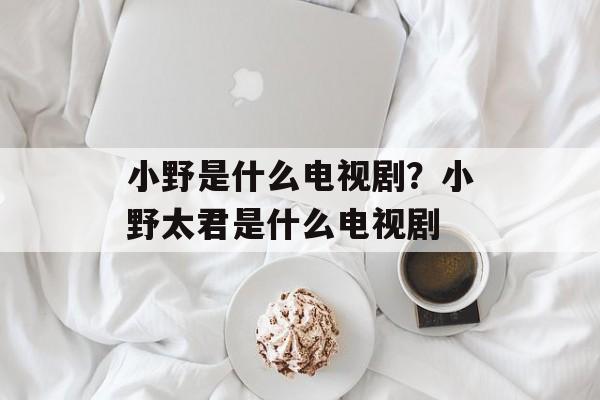 小野是什么电视剧？小野太君是什么电视剧-第1张图片-