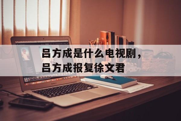 吕方成是什么电视剧，吕方成报复徐文君-第1张图片-