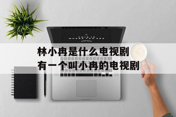 林小冉是什么电视剧 有一个叫小冉的电视剧-第1张图片-