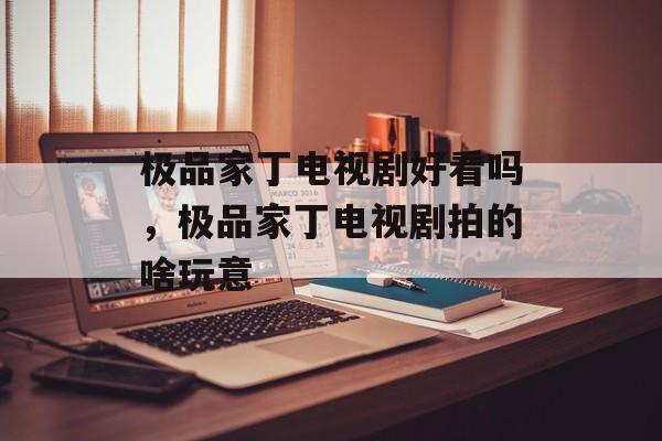 极品家丁电视剧好看吗，极品家丁电视剧拍的啥玩意-第1张图片-