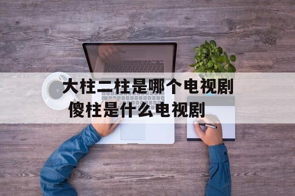 大柱二柱是哪个电视剧 傻柱是什么电视剧-第1张图片-