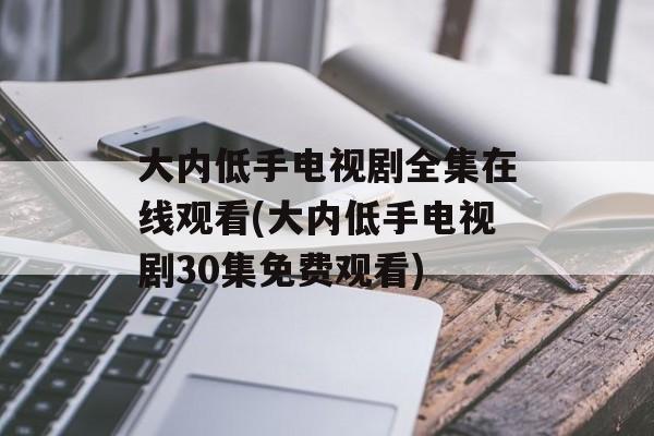 大内低手电视剧全集在线观看(大内低手电视剧30集免费观看)-第1张图片-