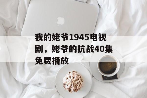 我的姥爷1945电视剧，姥爷的抗战40集免费播放-第1张图片-