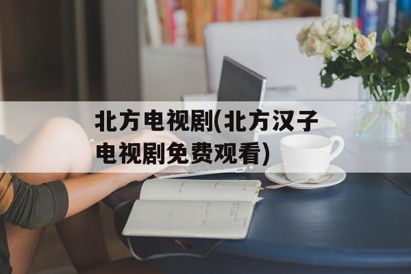 北方电视剧(北方汉子电视剧免费观看)-第1张图片-