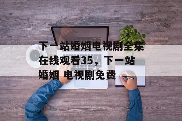 下一站婚姻电视剧全集在线观看35，下一站婚姻 电视剧免费-第1张图片-
