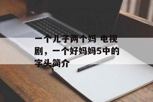 一个儿子两个妈 电视剧，一个好妈妈5中的字头简介-第1张图片-